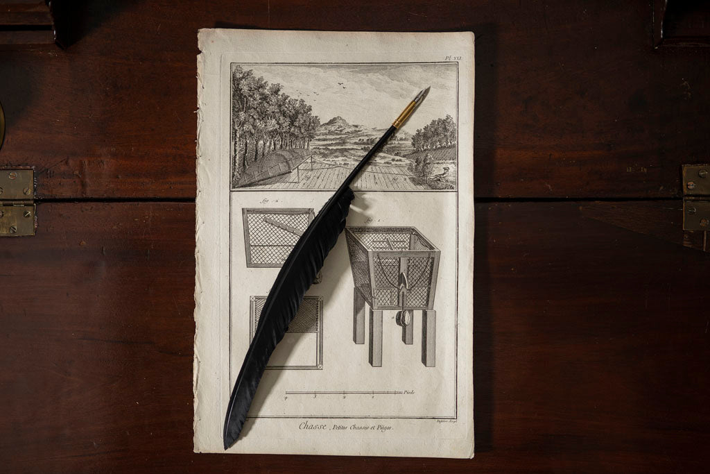 Quill pen, Black  Museum Webshop - Museum-webshop