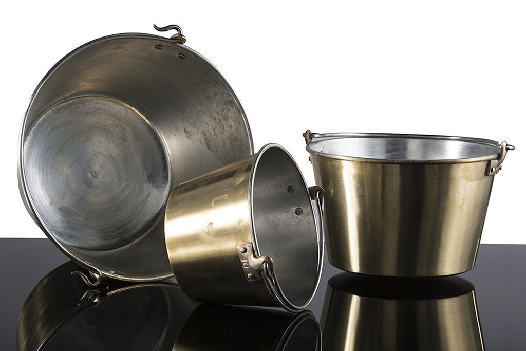 Brass Buckles Holly - 3 Gallon Pot